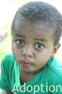 Adoption Story to Tell