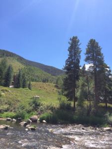 Colorado Family Christian Persecution